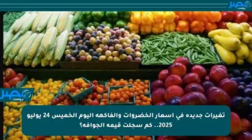 تغيرات جديدة في أسعار الخضروات والفاكهة اليوم الخميس 24 يوليو 2025.. كم سجلت قيمة الجوافة؟